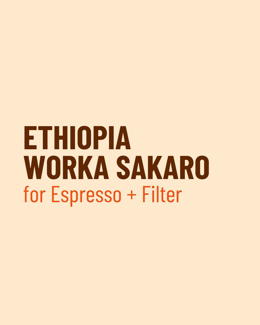 Ethiopia Worka Sakaro