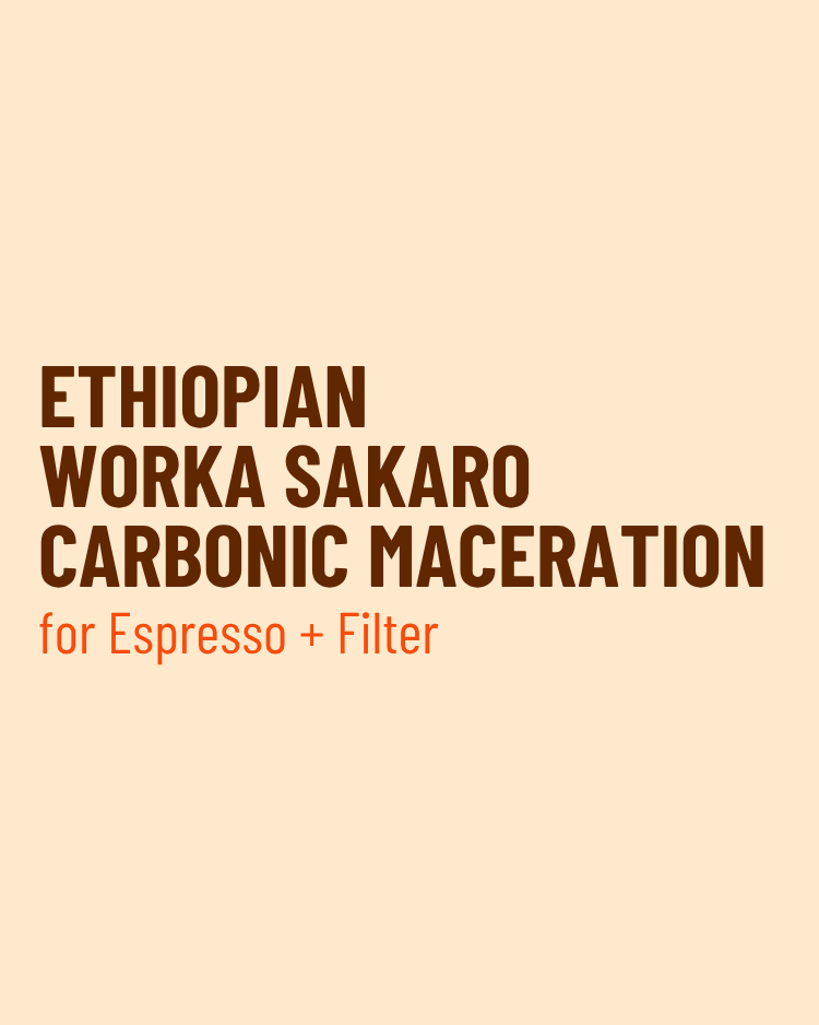 Ethiopia Worka Sakaro Carbonic Maceration - Single Origin