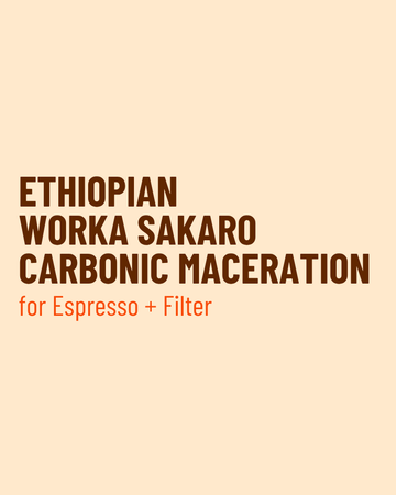 Ethiopia Worka Sakaro Carbonic Maceration - Single Origin