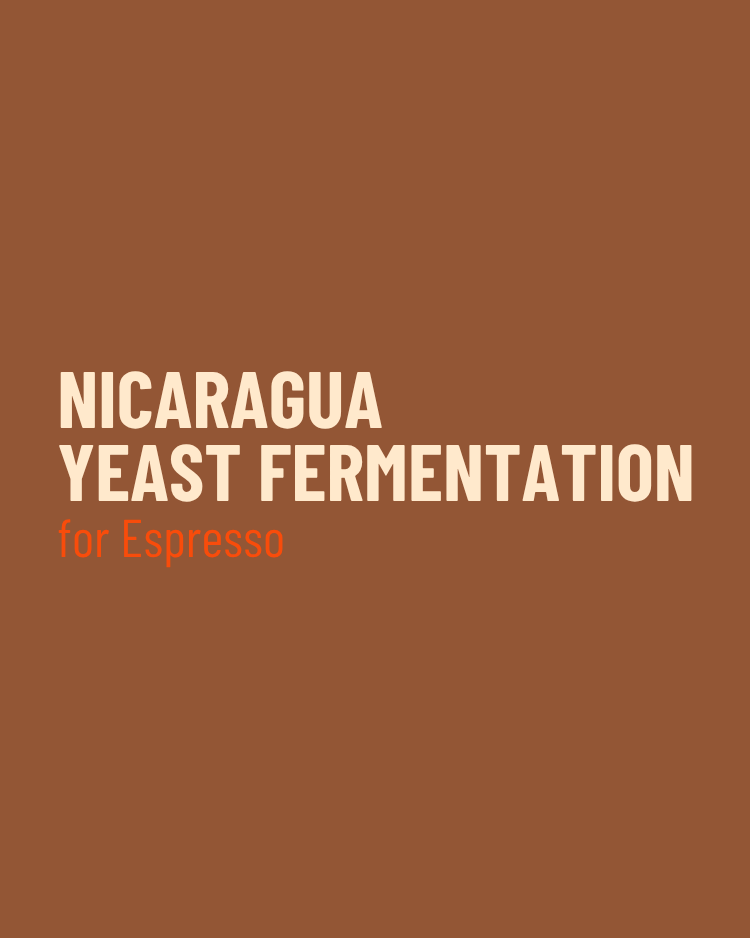 Nicaragua Yeast Fermentation