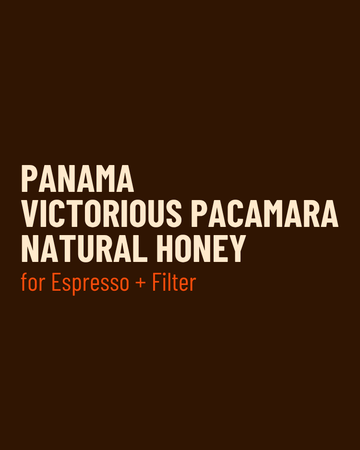 Panama Victorious Pacamara Natural Honey - Single Origin